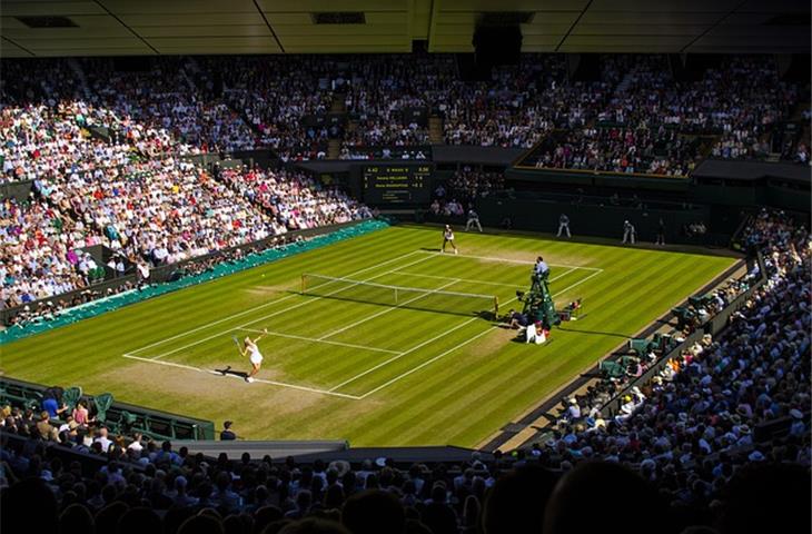 126331 wimbledon
