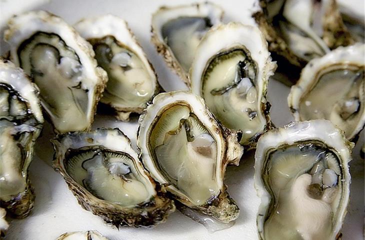 oyster perpetual retail price