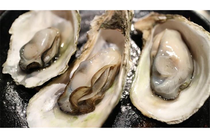 oyster perpetual retail price